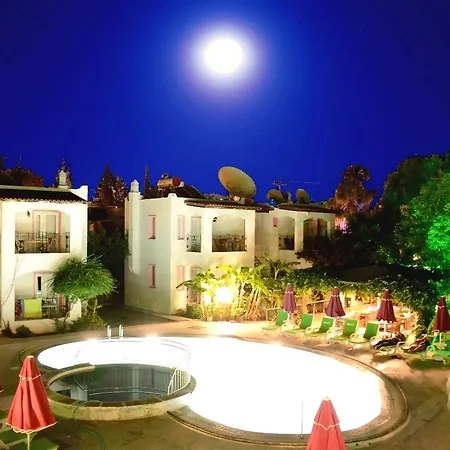 Villa Nergis 4*