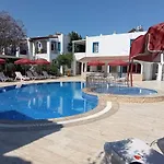Nergis 4*